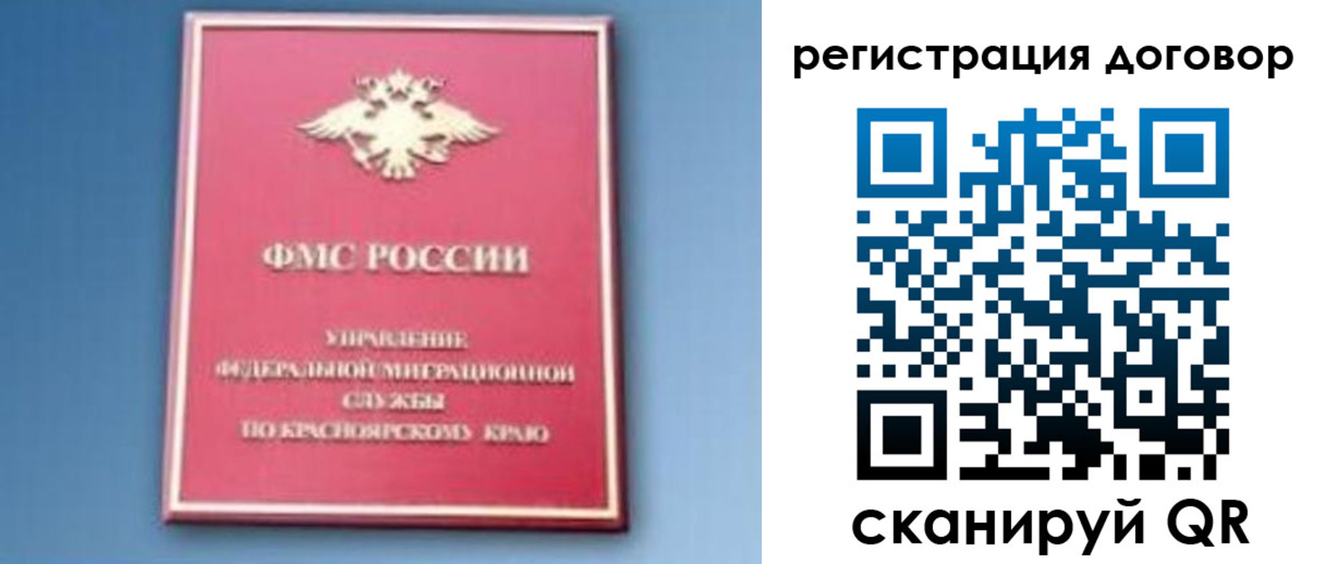 прописка для школы в Домодедово