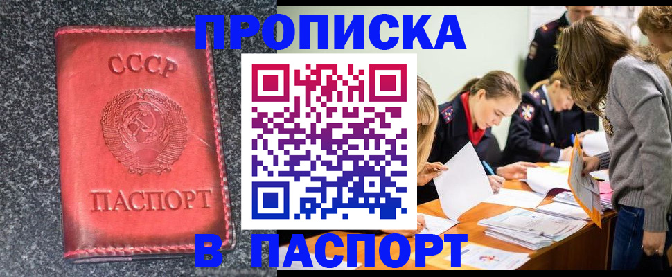 прописка для школы в Домодедово